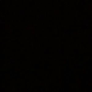 Meet your Posher, Damon